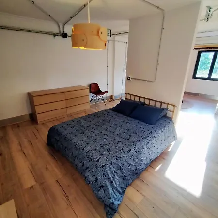 Apartament Lotila Flats Mieres (Asturias)